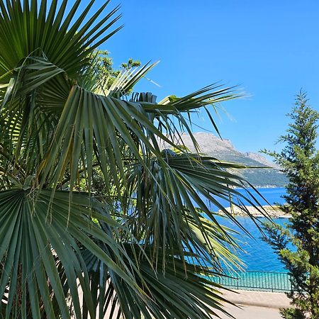 Villa Jade Apartments Front Row Sea View - Walk To Korcula Old Town Medvinjak Exterior photo
