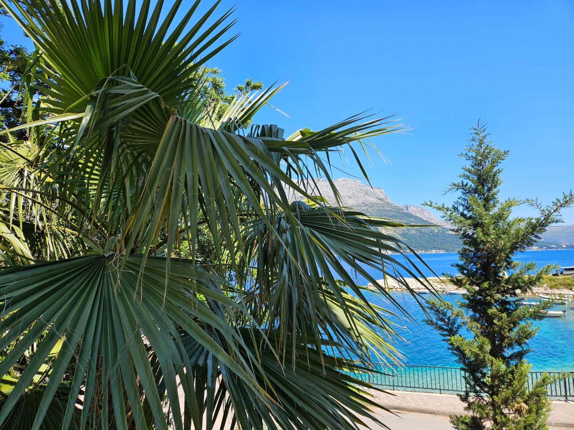 Villa Jade Apartments Front Row Sea View - Walk To Korcula Old Town Medvinjak Exterior photo